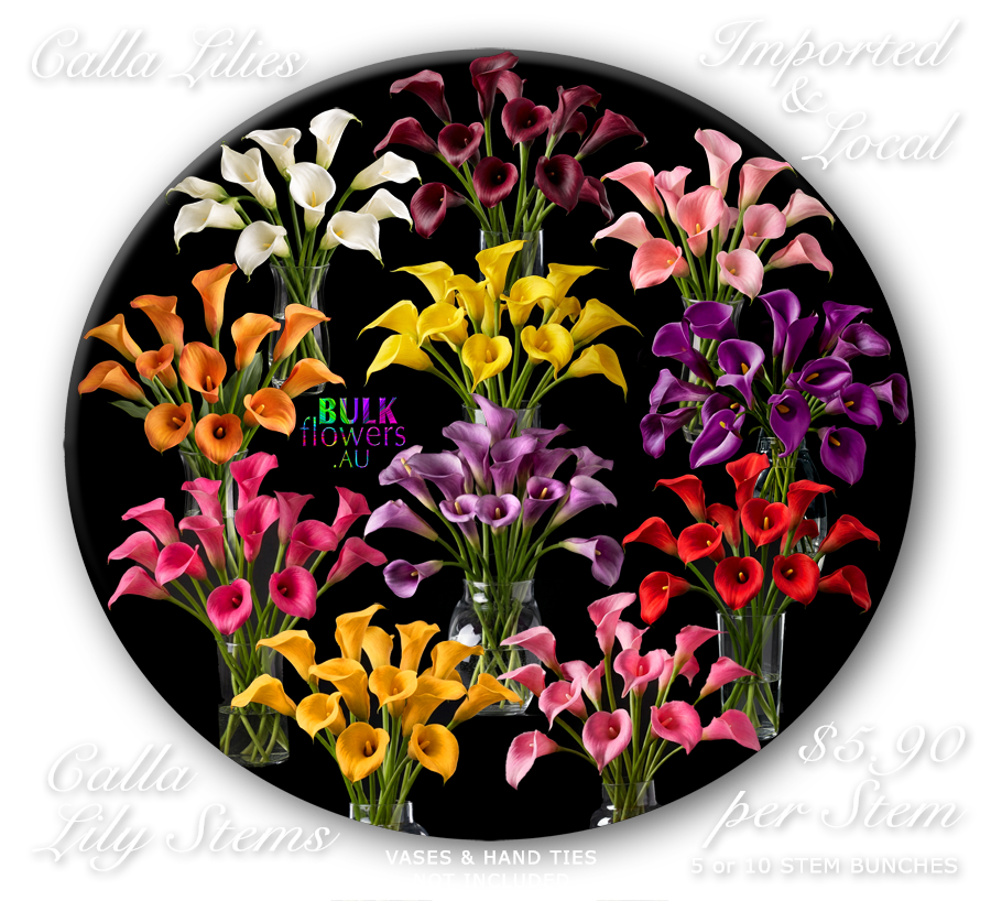 CALLA LILIES
